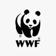 La fondation WWF peut prendre part au débat sur l'environnement se déroulant dans le cadre des instances de consultation nationale | Economie Responsable et Consommation Collaborative | Scoop.it