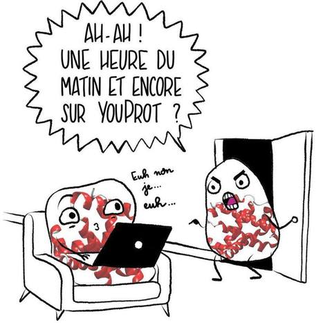 Top of the Prots - Du côté de la théorie  | Infos Lab' juin 2025 | Scoop.it