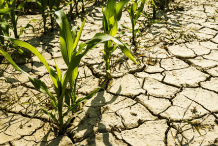 Qu’est-ce que le stress hydrique ? Comment y répondre ? | Regards croisés sur la transition écologique | Scoop.it