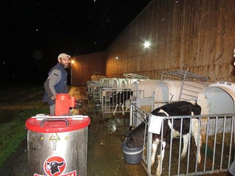 Mieux nourries, les vaches rejettent moins de gaz : des aides pour les éleveurs | Lait de Normandie... et d'ailleurs | Scoop.it
