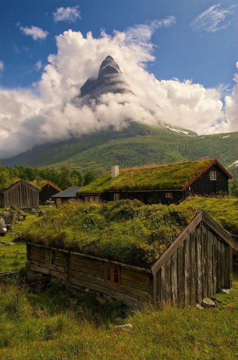 Voila de quoi vous donner envie d'aller en Norvège... - Buzz Web | Assurance Voyage Schengen | Scoop.it