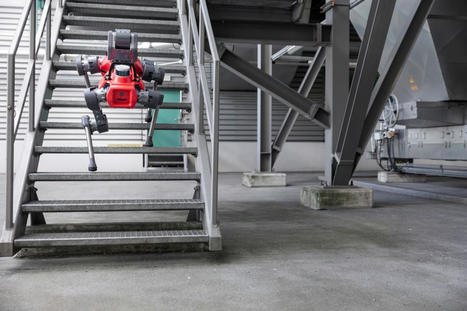 Schweizer Start-up Anybotics: Wenn Tausende Roboter gleichzeitig das Treppen­steigen üben | Informatik & Robotik in der Schule | Scoop.it
