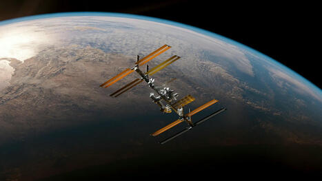 Les tardigrades posés sur l'ISS ont-ils survécu ? Des astronautes vont aller vérifier | EntomoNews | Scoop.it