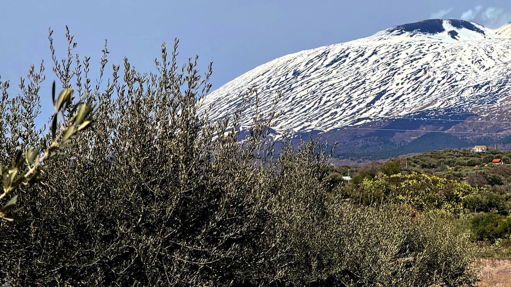 SICILY : On Etna’s Volcanic Slopes, Sikul...