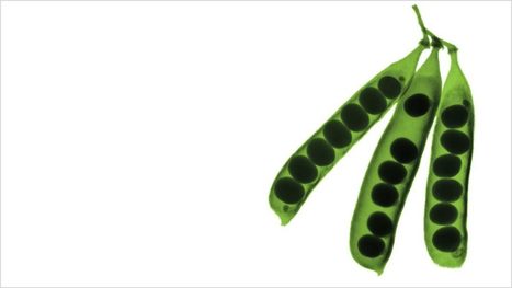 Why and How to Build an In-House Consulting Team | Learning and Working | Scoop.it