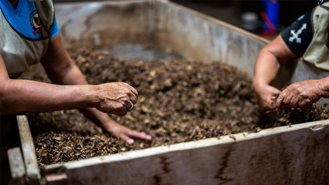 Grants enhance composting facilities across the U.S. | Industry 411 - Waste Management | Scoop.it