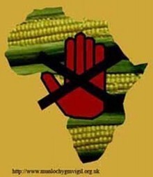 Africa, Chocolate, Bill Gates, Monsanto, and the Genetically Modified Land Grab | YOUR FOOD, YOUR ENVIRONMENT, YOUR HEALTH: #Biotech #GMOs #Pesticides #Chemicals #FactoryFarms #CAFOs #BigFood | Scoop.it