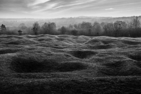 Verdun: sous la forêt, les cicatrices. | Autour du Centenaire 14-18 | Scoop.it