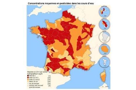 93% des cours d’eau français contaminés par les pesticides | 16s3d: Bestioles, opinions & pétitions | Scoop.it