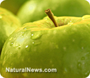 Apple peel compound may help fight obesity | naturopath | Scoop.it