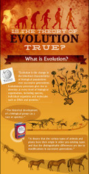Is The Theory Of Evolution True? | Critical and Creative Thinking for active learning | Scoop.it