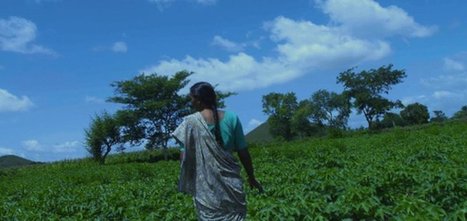 PVH reveals ambitious sustainability goals | Sustainable Procurement News | Scoop.it