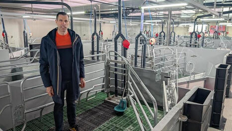 &laquo; Mon nouveau bloc naissage am&eacute;liore le confort du travail et le bien-&ecirc;tre des truies et des porcelets &raquo; | SCIENCES DE L' ANIMAL | Scoop.it