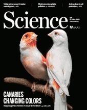 Sweet and low—autoantibodies deny oligodendrocytes their sugar fix | Science Immunology | AntiNMDA | Scoop.it