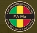 Fourniture d'armes au Mali: Paris précise les livraisons de ces dernières années | GUERRE AU MALI - FRENCH MILITARY OPERATIONS IN MALI | Scoop.it