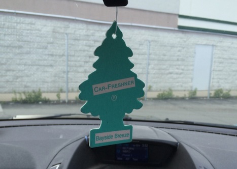 ACLU: Low-Level Infraction – e.g., Air Fresheners Hanging in Cars – Traffic Stops By Armed Police Should Stop! | Newtown News of Interest | Scoop.it