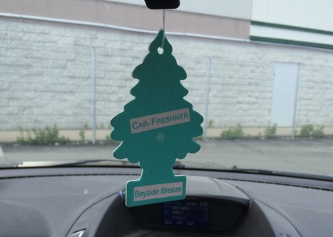 ACLU: Low-Level Infraction &ndash; e.g., Air Fresheners Hanging in Cars &ndash; Traffic Stops By Armed Police Should Stop! | Newtown News of Interest | Scoop.it
