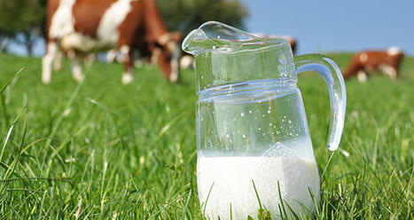 Le prix du lait continue sa progression | Economie de l'Elevage | Scoop.it