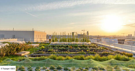 L'agriculture urbaine peut-elle nourrir les citadins ? | ESPACES VEGETALISES URBAINS | Scoop.it