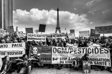 La planète en marche contre Monsanto | Home | Scoop.it
