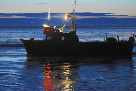 Alaska fishing advocates ask Congress to ban Russian seafood imports | Coastal Restoration | Scoop.it