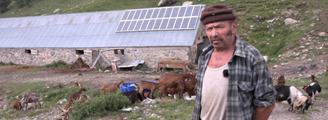 Sur les pas du loup, ce chasseur chass&eacute; | Biodiversit&eacute; | Scoop.it