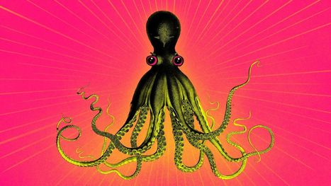 Scientists Gave MDMA to Octopuses—and What Happened Was Profound | Kool Look | Scoop.it