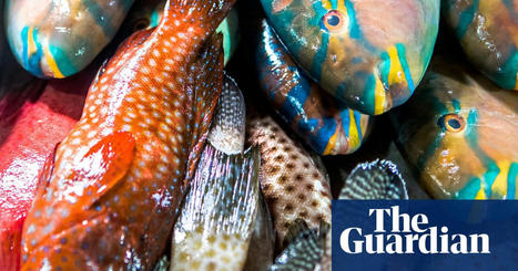 Wild species support half of world’s population, report finds | Biodiversity | The Guardian | Stage 6 HSC Geography ( Current syllabus) | Scoop.it