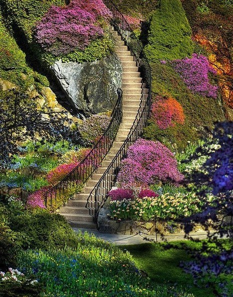 "Nothing happens unless first we dream." -Sandburg | Gardening Life | Scoop.it
