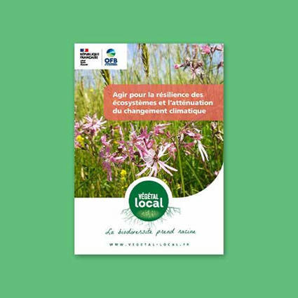 Végétal local - Agir pour la résilience des écosystèmes et l’atténuation du changement climatique | Biodiversité | Scoop.it
