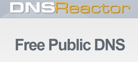 Service professionnel gratuit DNSReactor 2013 serveur DNS Public licence gratuite | Logiciel Gratuit Licence Gratuite | Scoop.it