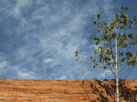 Le biosourcé, vecteur d'innovation dans la construction - | Architecture - Construction | Scoop.it
