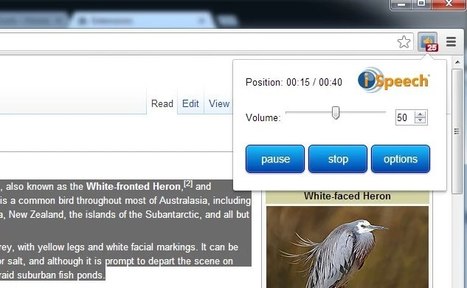 3 outils pour Chrome qui vont donner de la voix à vos pages web | Time to Learn | Scoop.it