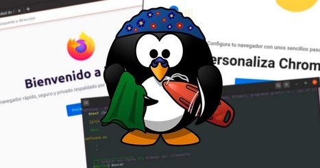 Navegadores web para Linux - Mejores, más rápidos y ligeros | tecno4 | Scoop.it