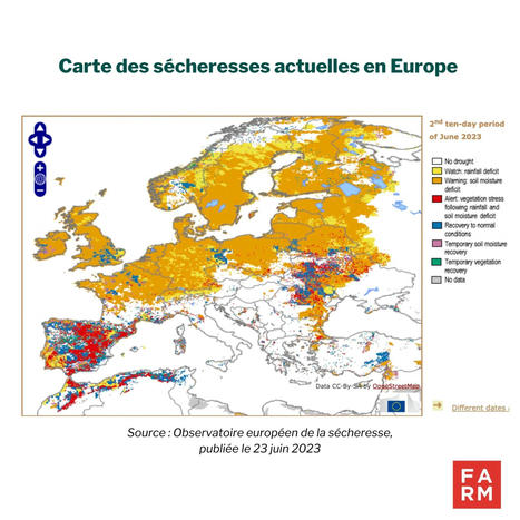 Sécheresses en Méditerranée : comment l’agriculture est-elle impactée ? – Fondation FARM | TRANSITION AGROECOLOGIQUE : PRATIQUES ET POLITIQUES AGRICOLES | Scoop.it