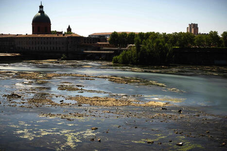 S&eacute;cheresse historique&nbsp;: la Garonne en &laquo;&nbsp;crise&nbsp;&raquo; en amont de Toulouse&nbsp;; des restrictions d&rsquo;eau in&eacute;dites | Revue de presse du Centre de doc | Scoop.it