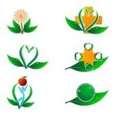 Phytothérapie : ces plantes qui soignent | Santé par les plantes | Scoop.it