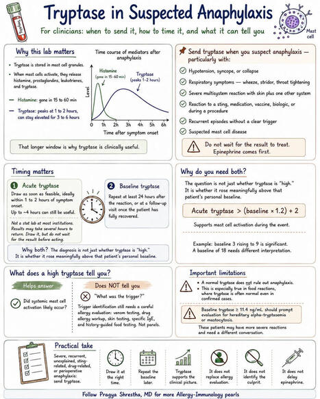 Tryptase in Anaphylaxis Diagnosis: Timing Matters | Pragya Shrestha MD, FACAAI posted on the topic | Allergy (and clinical immunology) | Scoop.it
