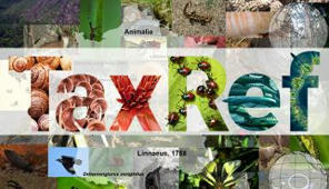Séminaire sur le référentiel taxonomique TaxRef - 5 octobre 2021 | Biodiversité | Scoop.it