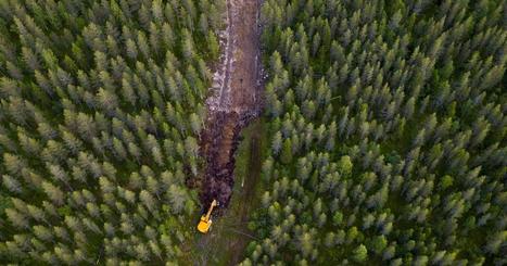 Suomen metsät on pilkottu metsäautoteillä – keräävät kritiikkiä | Apu | 1Uutiset - Lukemisen tähden | Scoop.it