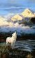 Image d'un bien beau loup!! (l) - Blogue de Cinquantaine-Harmonie | Loup | Scoop.it