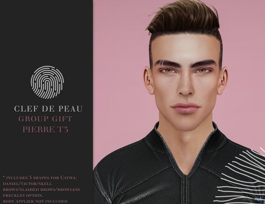 Pierre Skin T3 Catwa Head Applier September 201...