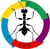 La 9e Conférence de la CIFE se déroulera à Montpellier (34 Hérault, Occitanie, France) du 2 au 6 Juillet 2018 | Variétés entomologiques | Scoop.it