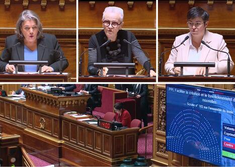 Communes nouvelles : le S&eacute;nat met un peu d'huile dans les rouages | Politiques publiques et soci&eacute;t&eacute; | Scoop.it