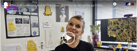 Elles font sciences - Témoignages de femmes scientifiques dans l'académie de Toulouse - Audrey Dussutour, directrice de recherche au CNRS | Revue de presse | Scoop.it