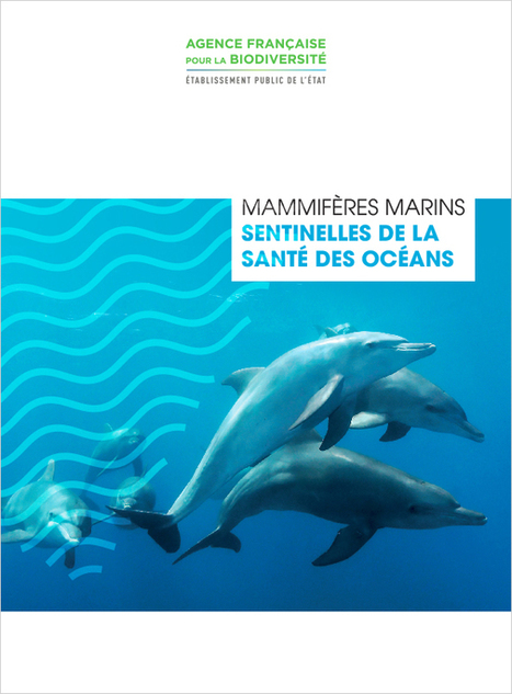 Mammifères marins, une richesse et une responsabilité pour la France - Agence française pour la biodiversité | Biodiversité | Scoop.it