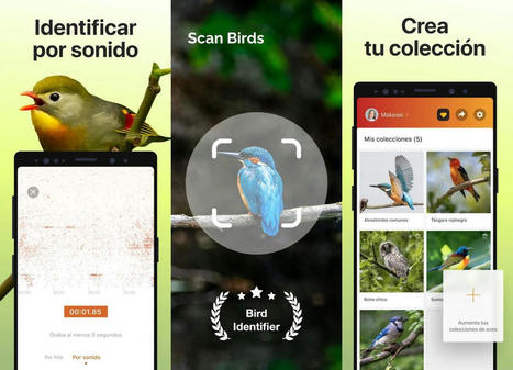 Las 7 mejores aplicaciones para móviles Android con las que identificar aves | Tecnología - ComputerHoy.com | Bichos en Clase | Scoop.it