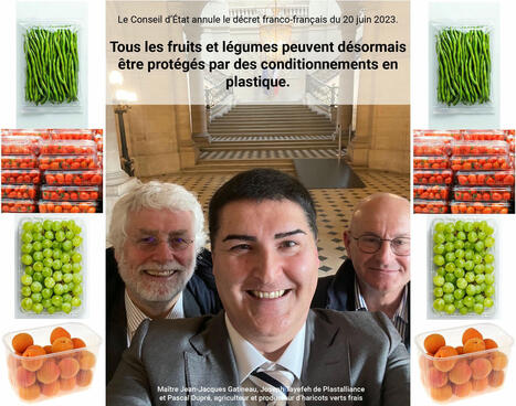 Emballage plastique pour les fruitis et légumes: Annulation du décret du 20 juin 2023 pour violation du droit européen | plasturgie-composites | Scoop.it