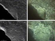 Scanning Electron and Optical Light Microscopy: two complementary approaches for the understanding and interpretation of usewear and residues on stone tools | Archaeology Articles and Books | Scoop.it