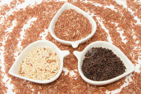 Tìm hiểu phương pháp chữa thoát vị đĩa đệm bằng gạo lứt | Thuốc Dân Tộc VN | Scoop.it